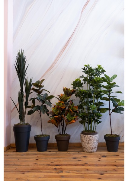 Yapay Sisal Ağacı 170 cm fırsatları