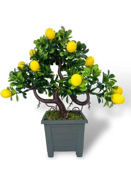 Bonsai Limon Ağacı Dekoratif Yapay Ağaç Yeşil Bonzai 28*23 Cm Siyah Kare Saksıda