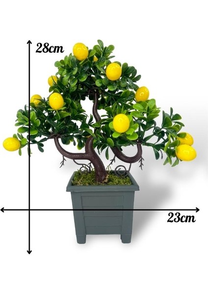 Bonsai Limon Ağacı Dekoratif Yapay Ağaç Yeşil Bonzai 28*23 Cm Siyah Kare Saksıda