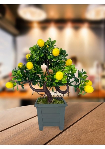 Bonsai Limon Ağacı Dekoratif Yapay Ağaç Yeşil Bonzai 28*23 Cm Siyah Kare Saksıda