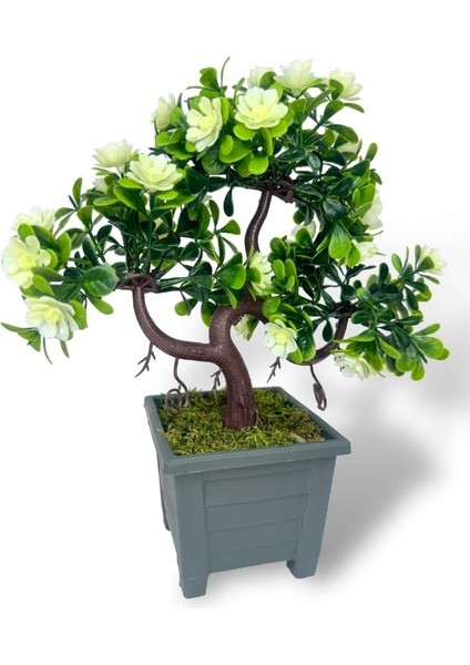 Yapay Çiçek Beyaz Çiçekli Bonsai Ağacı Dekoratif Yapay Ağaç Bonzai 29*24 Cm Siyah Kare Saksıda
