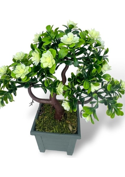 Yapay Çiçek Beyaz Çiçekli Bonsai Ağacı Dekoratif Yapay Ağaç Bonzai 29*24 Cm Siyah Kare Saksıda