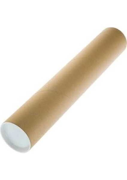 Renkli Köpek Ailesi Duvar Poster 30 x 42 Çerçevesiz