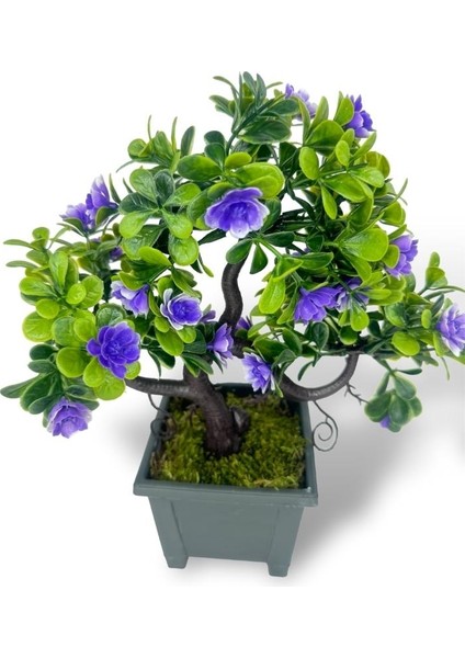 Yapay Çiçek Mor Çiçekli Bonsai Ağacı Dekoratif Yapay Ağaç Bonzai 29*24 Cm Siyah Kare Saksıda