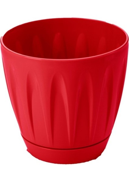 Papatya Saksı 1.5 Litre Kırmızı | Dekoratif Tabaklı Saksı 1,5 Lt