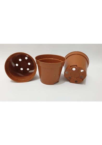 Serinova Kaktüs & Sukulent Üretim Saksı 8 cm Orta Boy 20 Adet ((80X69)
