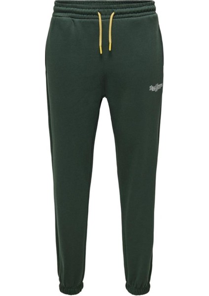 Onsrıley Reg Sweat Pants Vd Zümrüt Yeşili 22030142