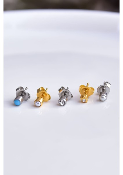 Çelik Gold-Rodyum Kaplama Cerrahi Tektaş Çivili 5'li Kombin Küpe Model7