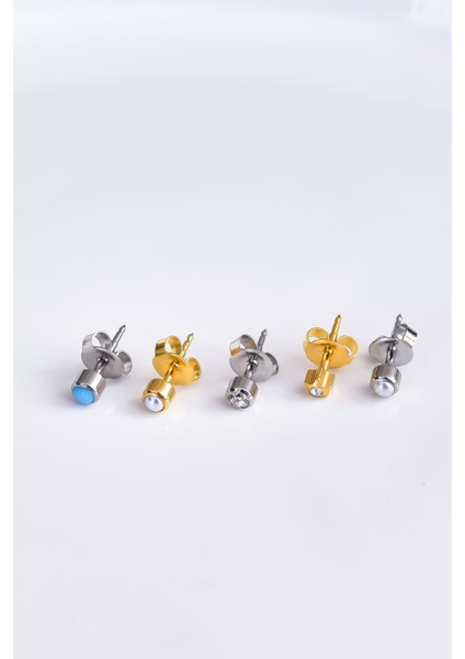 Çelik Gold-Rodyum Kaplama Cerrahi Tektaş Çivili 5'li Kombin Küpe Model7 fiyatları