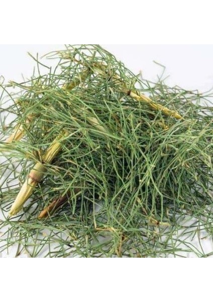 At Kuyruğu (Kırk Kilit Otu) 100 gr