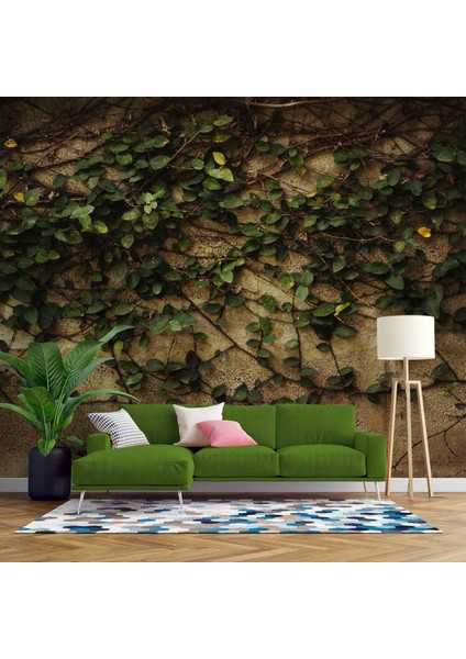 Sarmaşık ve Duvar Temalı Duvar Kağıdı