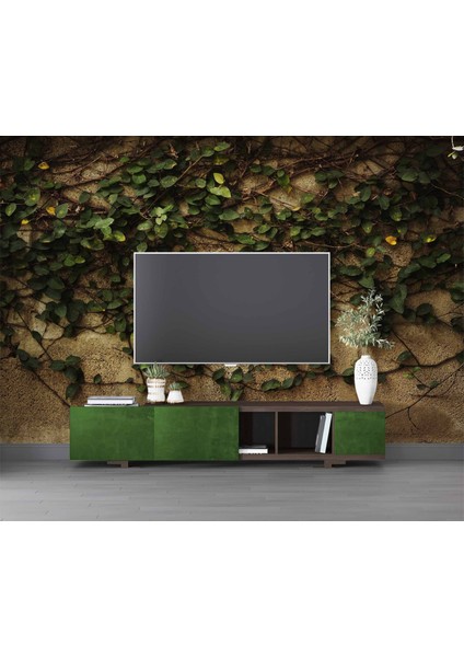 Sarmaşık ve Duvar Temalı Duvar Kağıdı modelleri