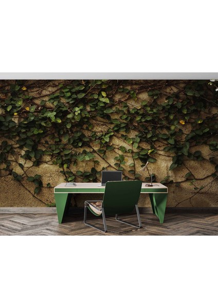 Sarmaşık ve Duvar Temalı Duvar Kağıdı fırsatları