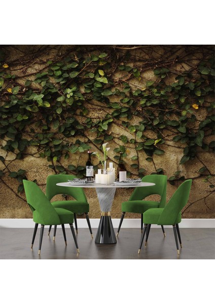 Sarmaşık ve Duvar Temalı Duvar Kağıdı indirimleri