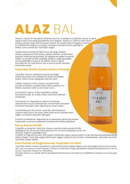 Arıtemis Bal Alaz Yayla Çiçek Balı 650GR