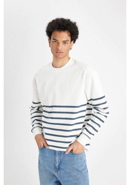 Comfort Regular Fit Rahat Kalıp Bisiklet Yaka Çizgili Kalın Sweatshirt D2397AX24AU fırsatları