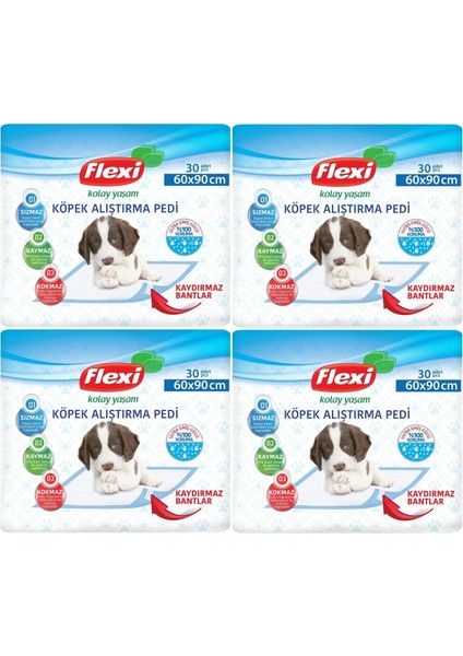 Evcil Hayvan Tuvalet Eğitim Pedi 60*90CM 120 Adet (4pk*30)