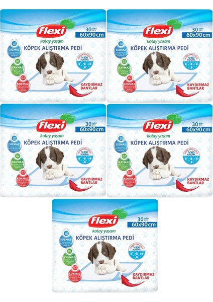 Evcil Hayvan Tuvalet Eğitim Pedi 60*90Cm 150 Adet (5Pk*30)