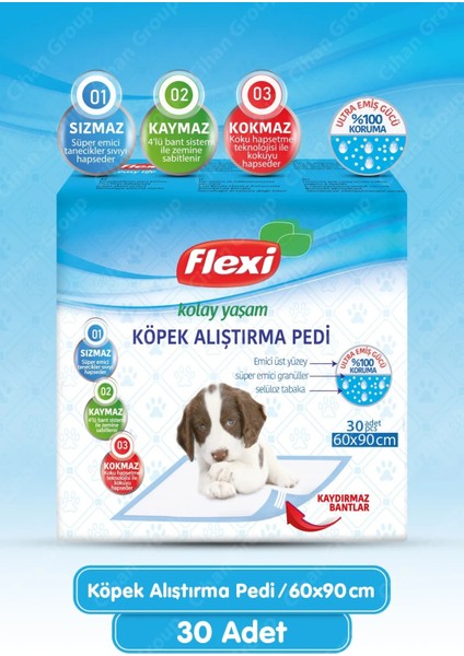Evcil Hayvan Tuvalet Eğitim Pedi 60*90CM 180 Adet (6pk*30)