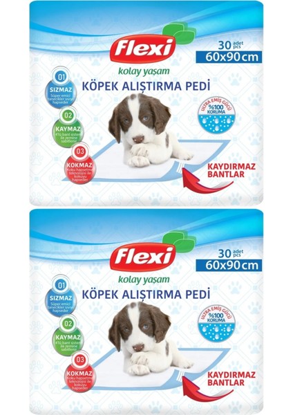 Evcil Hayvan Tuvalet Eğitim Pedi 60*90Cm 60 Adet (2Pk*30)