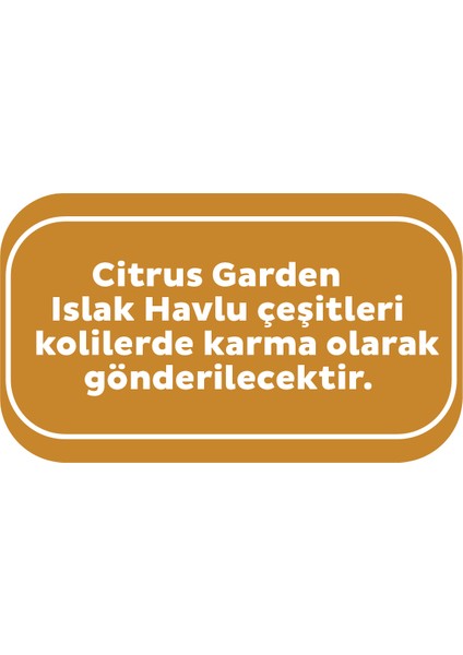 Islak Havlu Mendil Meyve Çeşitleri 90 Yaprak (48 Li Set) Plastik Kapaklı (Citrus Garden)