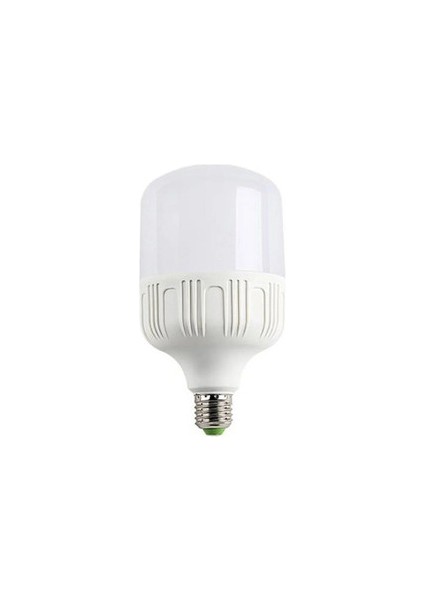 Torch 65W Beyaz