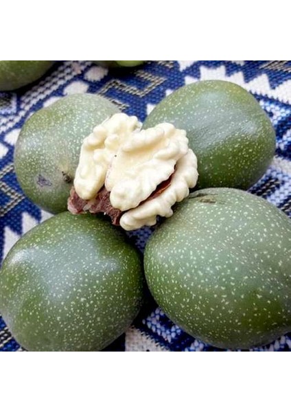 3 kg Ceviz Yeşil Kabuklu Olarak Gönderilmektedir modelleri