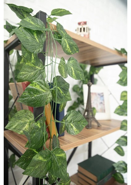 Yapay Sarmaşık Plastik Yeşil Dolanabilen 12'li Set Ev ve Ofis Dekorasyonu Gerçekçi Tasarım modelleri