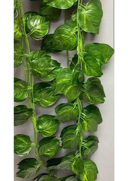 Yapay Sarmaşık Plastik Yeşil Dolanabilen 12'li Set Ev ve Ofis Dekorasyonu Gerçekçi Tasarım fırsatları
