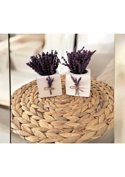 2’Li Şoklanmış Lavantalı Arajman Saksı