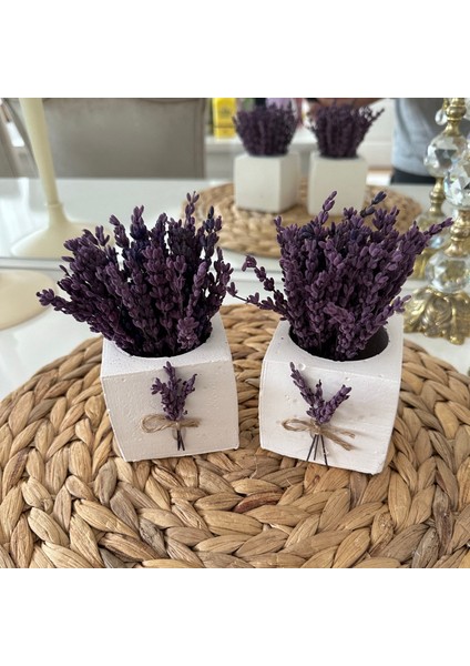 2’Li Şoklanmış Lavantalı Arajman Saksı fiyatları