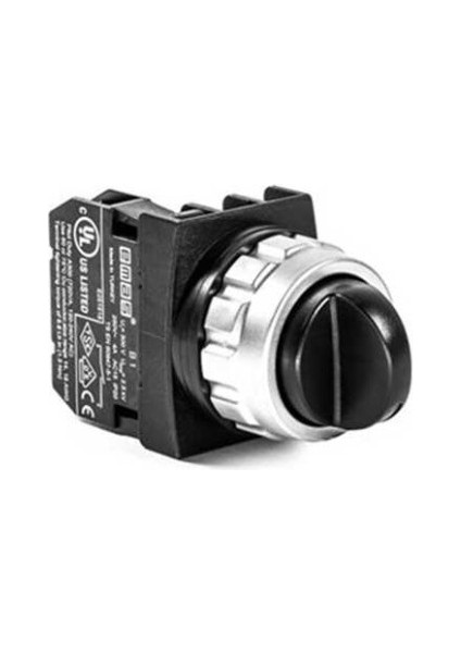 H100S20 H Serisi Plastik 1no (0-I) 60° Seçici Kalıcı 30 mm Buton