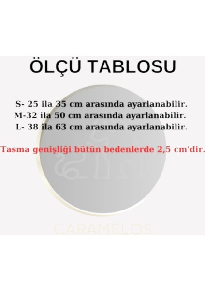 Kişiye Özel Isimli- Künyeli Orta ve Büyük Irk Ayarlanabilir Köpek Boyun Tasması 2,5 cm