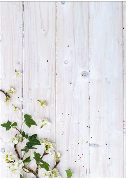 Fotoğraf Çekim Fonu 70X100 cm