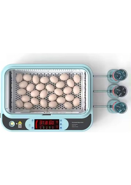 64 Yumurtalık 5 Programlı Tam Otomatik Kuluçka Makinesi (2024 Model)
