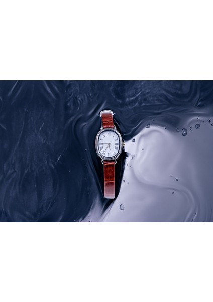 Çelik Kasa Kadın Kol Saati