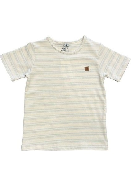 Erkek Çocuk Çizgili T-Shirt fiyatları