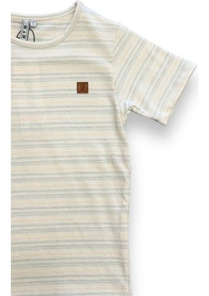 Erkek Çocuk Çizgili T-Shirt modelleri