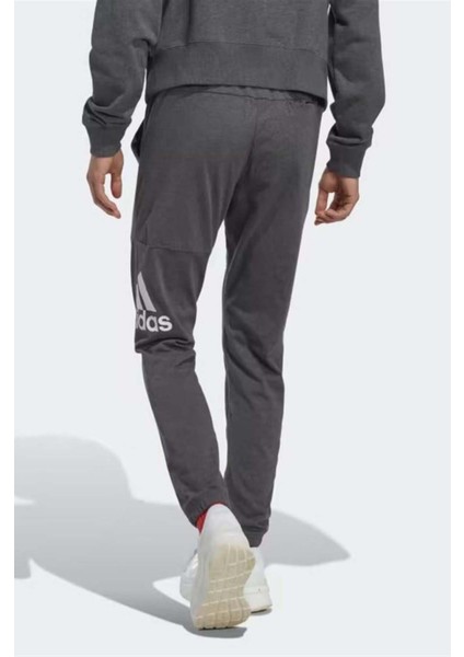 Essentials Erkek Antrasit Pamuklu Eşofman Altı fiyatları