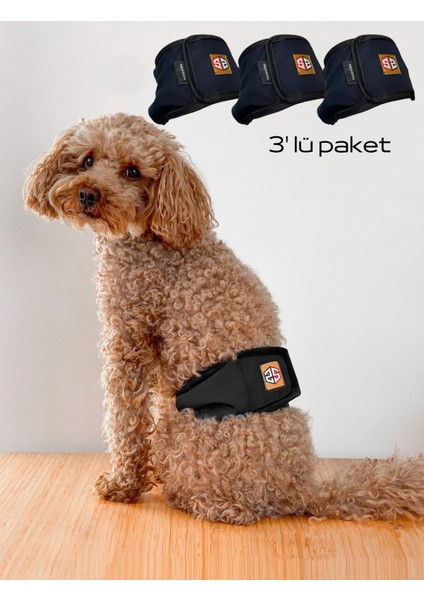 Siyah Erkek Köpek Çiş Bezleri - 3'lü Avantajlı Paket | Sızdırmaz ve Yıkanabilir Erkek Köpek Külotu | Yavru ve Idrar Kaçıran Köpekler Için Ideal