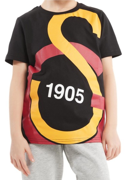 Lisanslı Büyük Logolu Çocuk T-Shirt Aslan Ahşap Kutulu fiyatları