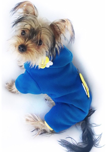 Navy Bee Duo Köpek Tulumu Köpek Kıyafeti fırsatları