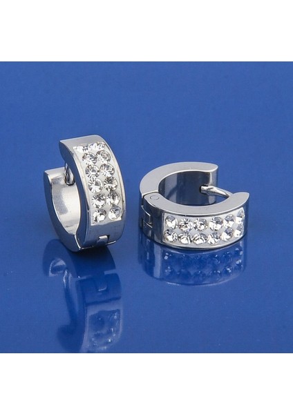 Zirkon Taşlı Erkek Küpe Çelik Takı Aksesuar W P24 T5