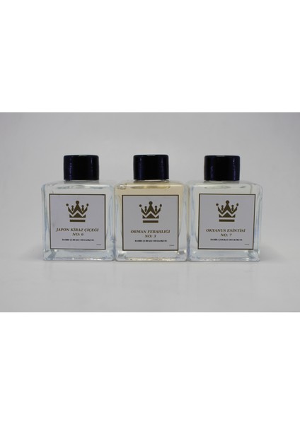 Bambu Çubuklu 3 Çeşit 100 ml Cam Kare Şişe 3 Lü Set Oda Kokusu Parfümü Koku Giderici Ferahlatıcı Hava Temizleyici 3*100 ml
