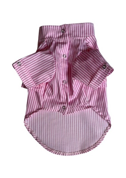 Mıss Daısy Pet Boutıque Pembe Çizgili Poplin Gömlek fiyatları