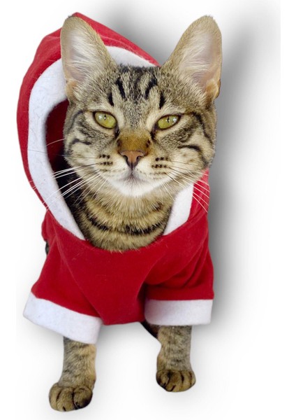 Kırmızı Sevimli Fare Kapşonlu Kedi Tulumu fiyatları