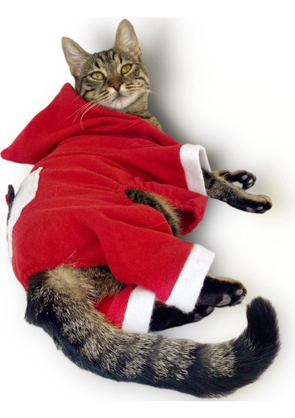 Kırmızı Sevimli Fare Kapşonlu Kedi Tulumu fırsatları