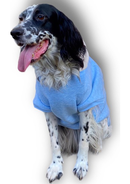 Triple Light Blue Kapşonlu Sweatshirt Orta ve Büyük Irklar Için fiyatları