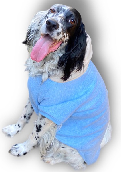 Triple Light Blue Kapşonlu Sweatshirt Orta ve Büyük Irklar Için modelleri