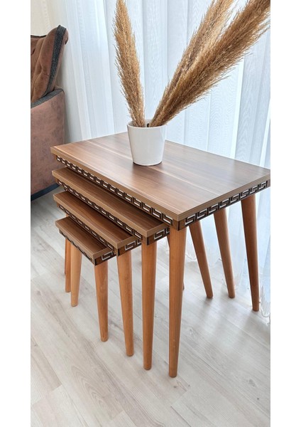 Lüx 4lü Sehpa fiyatları